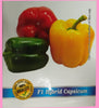 Tricolor Capsicum Red, Green, Yellow F1 Seeds , Hybrid | Organic Seeds | For Any Pot & Home Garden seeds + Organic Manure + Pot Irrigation Drip system