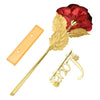 24K Foil Plated Red Rose Gold Lasts Forever with Luxury Gift Box and Beautiful Carry Bag (Rose with Love Stand, Bag & Box)