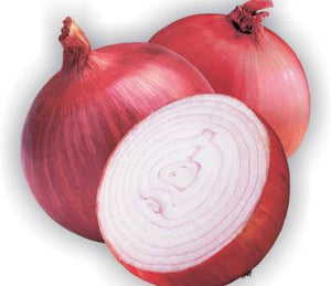 Onion Seeds Super Nasik N-53 | Organic Seeds | Home Garden seeds + Organic Manure + Pot Irrigation Drip system