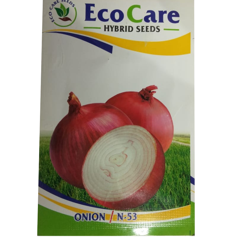 Onion Seeds Super Nasik N-53 | Organic Seeds | Home Garden seeds + Organic Manure + Pot Irrigation Drip system