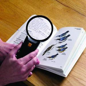 Big SIZE ILLUMINATED MAGNIFYING GLASS - Highly recommended - halfrate.in