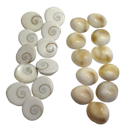 Gomti Chakra Natural Energized for Health, Wealth, Success, Puja