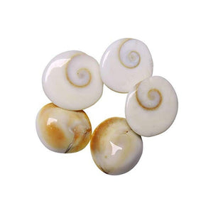 Gomti Chakra Natural Energized for Health, Wealth, Success, Puja