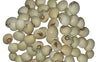 Natural 100% & Rare White Gunja, Chirmi Seeds, Swetha Gunja, Gurivanta, White Rosary Pea, Chanoti,  Latumoni - 11 pcs