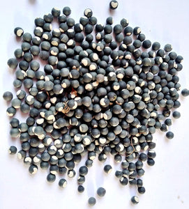 Natural 100% & Rare Mantra Siddha Black Gunja/Chirmi Seed/Abrus precatorius/chirmi Beads 11 Pieces
