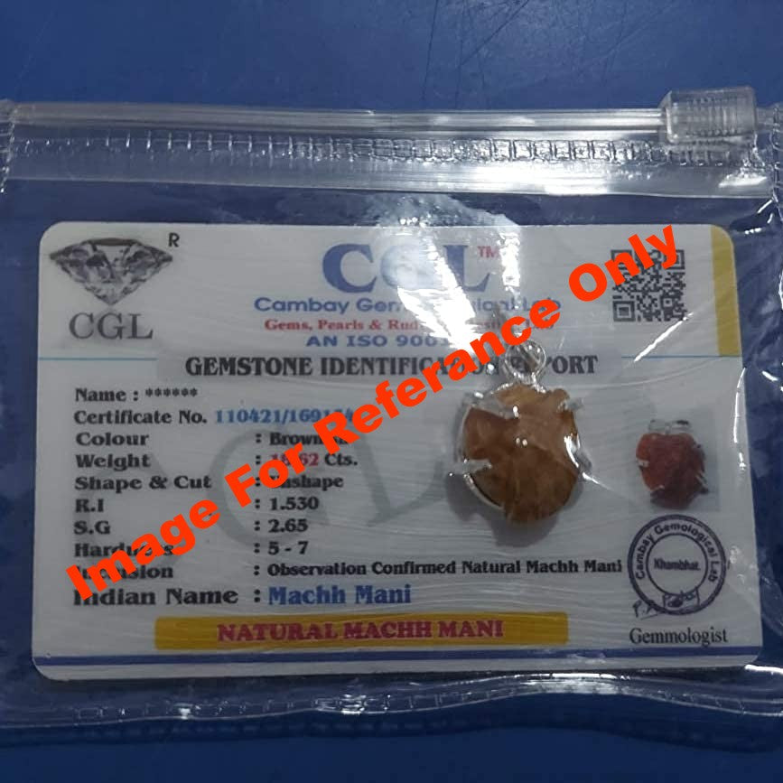 Natural Certified Machh Mani Pendant sea stone Pendant to Reduces and Removes Rahu Impact (Meen Mukta, fish stone) Lab Certificate Stone Pendant