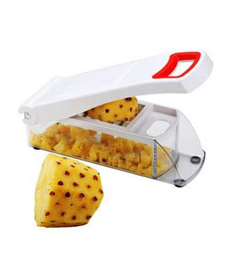 FAMOUS PREMIUM VEGETABLE & FRUIT CUTTER CHOPPER - halfrate.in
