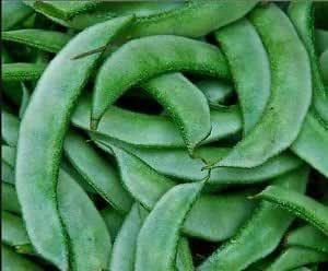 Sem Phali / Flat Lima Beans Hybrid | Organic Seeds | Home Garden seeds + Organic Manure + Pot Irrigation Drip system