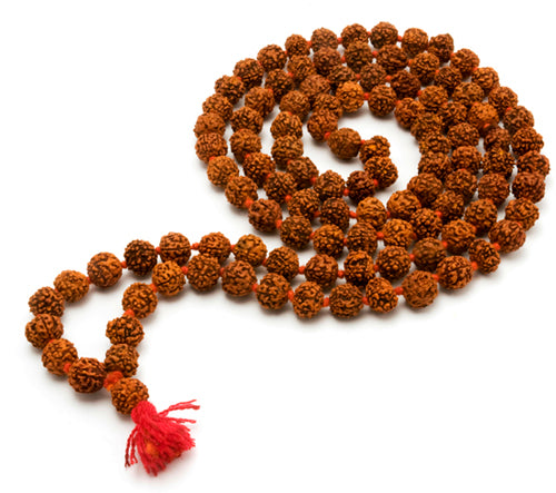 Natural Brown Real Rudraksha Beads 1 Mukhi, 2 Mukhi, 3 Mukhi, 4 Mukhi, 5 Mukhi, 6 Mukhi Rudraksh 1 store to 6 Mukhi (10-15 mm)