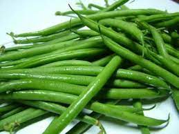 French Beans/ Green beans Hybrid | Organic Seeds | Home Garden seeds + Organic Manure + Pot Irrigation Drip system