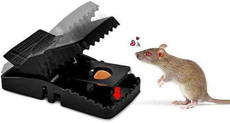 Reusable Plastic Portable Rat/Mice/Mouse Trap - halfrate.in