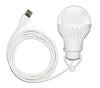 Pair of 5W Portable Bright USB LEDBulb Light with Hook for Reading Camping Writing Works with Power Bank, Mobile phone, laptop, PC Adapter and different USB ports