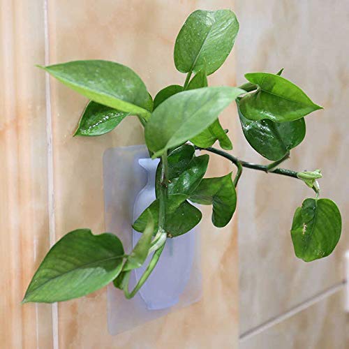 Wall Hanging Silicone Flower Pot Sticker Plant Rack for Decoration Home Kitchen Office Bathroom