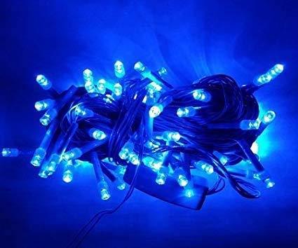 Blue Plastic Rice Lights 10 mtr Serial Bulbs Ladi Decoration Lighting for Indoor, Outdoor, DIY, Diwali Christmas Eid