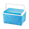 Insulated Chiller Ice Cooler Box, 5 Ltr