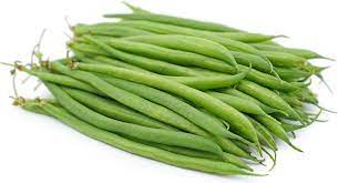 French Beans/ Green beans Hybrid | Organic Seeds | For Any Pot &amp; Home Garden seeds + Organic Manure + Pot Irrigation Drip system